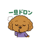 一日中使えるトイプードル基本の会話集（個別スタンプ：32）