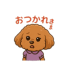 一日中使えるトイプードル基本の会話集（個別スタンプ：33）