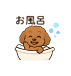一日中使えるトイプードル基本の会話集（個別スタンプ：34）