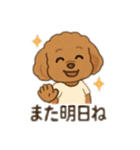 一日中使えるトイプードル基本の会話集（個別スタンプ：35）