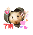 ハムスターと弓道が好き（個別スタンプ：4）