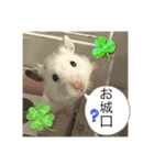 ハムスターと弓道が好き（個別スタンプ：5）