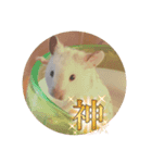 ハムスターと弓道が好き（個別スタンプ：8）
