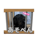R・O・Nの日常（個別スタンプ：6）