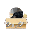 R・O・Nの日常（個別スタンプ：10）
