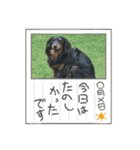 R・O・Nの日常（個別スタンプ：12）
