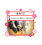 R・O・Nの日常（個別スタンプ：13）