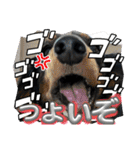 R・O・Nの日常（個別スタンプ：15）
