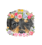 R・O・Nの日常（個別スタンプ：16）
