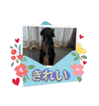 R・O・Nの日常（個別スタンプ：17）