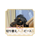 R・O・Nの日常（個別スタンプ：23）