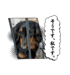 R・O・Nの日常（個別スタンプ：26）