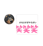 R・O・Nの日常（個別スタンプ：27）