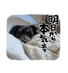 R・O・Nの日常（個別スタンプ：29）