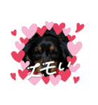 R・O・Nの日常（個別スタンプ：31）