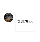 R・O・Nの日常（個別スタンプ：33）