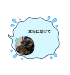 R・O・Nの日常（個別スタンプ：35）