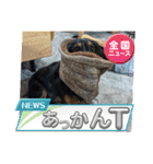 R・O・Nの日常（個別スタンプ：37）
