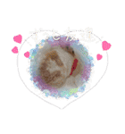 R・O・Nの日常（個別スタンプ：39）