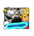 R・O・Nの日常（個別スタンプ：40）