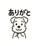 真っ白シュナの毎日スタンプ（個別スタンプ：2）