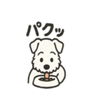 真っ白シュナの毎日スタンプ（個別スタンプ：5）