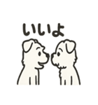 真っ白シュナの毎日スタンプ（個別スタンプ：6）