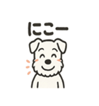 真っ白シュナの毎日スタンプ（個別スタンプ：7）