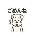 真っ白シュナの毎日スタンプ（個別スタンプ：11）