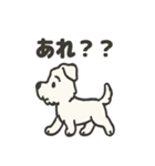真っ白シュナの毎日スタンプ（個別スタンプ：12）