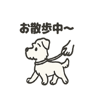 真っ白シュナの毎日スタンプ（個別スタンプ：14）