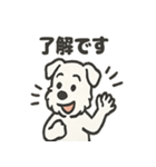 真っ白シュナの毎日スタンプ（個別スタンプ：15）