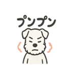 真っ白シュナの毎日スタンプ（個別スタンプ：16）