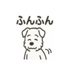 真っ白シュナの毎日スタンプ（個別スタンプ：20）