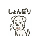 真っ白シュナの毎日スタンプ（個別スタンプ：21）