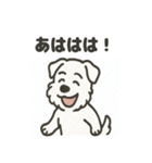 真っ白シュナの毎日スタンプ（個別スタンプ：23）