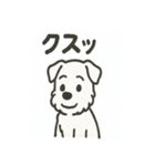 真っ白シュナの毎日スタンプ（個別スタンプ：24）
