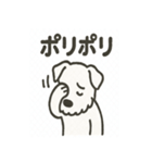 真っ白シュナの毎日スタンプ（個別スタンプ：25）