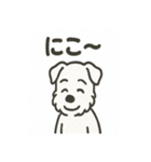 真っ白シュナの毎日スタンプ（個別スタンプ：26）
