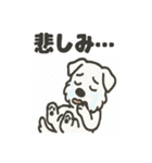 真っ白シュナの毎日スタンプ（個別スタンプ：27）