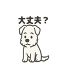 真っ白シュナの毎日スタンプ（個別スタンプ：31）