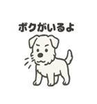 真っ白シュナの毎日スタンプ（個別スタンプ：32）