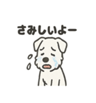 真っ白シュナの毎日スタンプ（個別スタンプ：36）