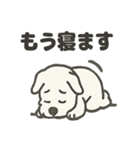 真っ白シュナの毎日スタンプ（個別スタンプ：38）
