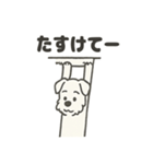 真っ白シュナの毎日スタンプ（個別スタンプ：40）