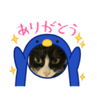 飼い猫の（個別スタンプ：3）