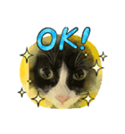 飼い猫の（個別スタンプ：4）