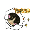 飼い猫の（個別スタンプ：8）