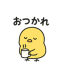 丸ひよこ。かわいい。よく使う（個別スタンプ：1）