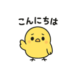 丸ひよこ。かわいい。よく使う（個別スタンプ：2）